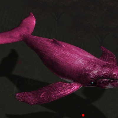 ������ұض����ű�ʹ�÷����밲ȫָ��